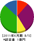 中村解体 貸借対照表 2011年6月期