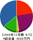 坂川組 貸借対照表 2009年12月期