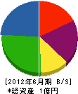 日本海洋計画 貸借対照表 2012年6月期