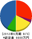 川口商事 貸借対照表 2012年6月期