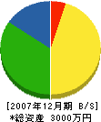 土田製材所 貸借対照表 2007年12月期