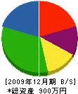 高橋工務店 貸借対照表 2009年12月期