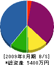 柿沼工業 貸借対照表 2009年8月期