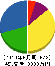 三栄電設 貸借対照表 2010年6月期