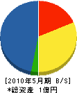 田中興発 貸借対照表 2010年5月期
