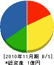 昭和理化 貸借対照表 2010年11月期