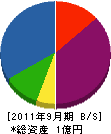 ハマシマ 貸借対照表 2011年9月期