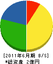 三笠電気 貸借対照表 2011年6月期