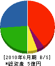 西日本グリーンメンテナンス 貸借対照表 2010年6月期