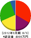 犬塚組 貸借対照表 2012年9月期