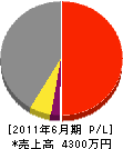 田ノ上建設 損益計算書 2011年6月期
