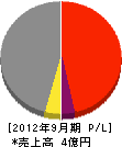 かみむら 損益計算書 2012年9月期