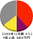 三惠技建 損益計算書 2009年12月期