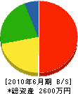 新井水道 貸借対照表 2010年6月期