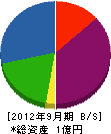 菅谷建設 貸借対照表 2012年9月期
