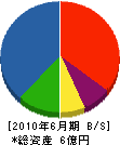佐久協同 貸借対照表 2010年6月期