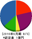武生テック 貸借対照表 2010年6月期