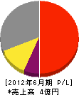 渡邊工業 損益計算書 2012年6月期