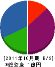 山本ケミカル 貸借対照表 2011年10月期