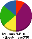 渋谷 貸借対照表 2009年6月期
