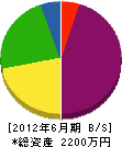大島建設 貸借対照表 2012年6月期