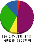 横井組 貸借対照表 2012年6月期