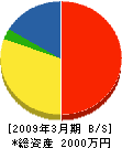 関根土木 貸借対照表 2009年3月期