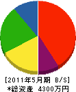 長谷川電気 貸借対照表 2011年5月期