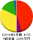 花井組 貸借対照表 2010年6月期
