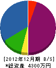 井村塗装工業 貸借対照表 2012年12月期