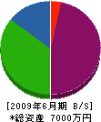 丸進商事 貸借対照表 2009年6月期