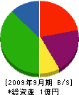 山本製材所 貸借対照表 2009年9月期