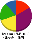 松尾化学工業 貸借対照表 2013年1月期