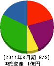 宮嶋建設工業 貸借対照表 2011年6月期