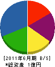 早川組 貸借対照表 2011年6月期
