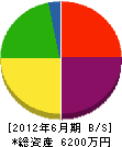 橋本塗装 貸借対照表 2012年6月期