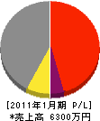 松沢産業 損益計算書 2011年1月期