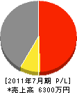 湯浅電気 損益計算書 2011年7月期