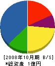 大栄建設 貸借対照表 2008年10月期