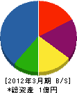 近藤電気商会 貸借対照表 2012年3月期