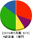 松村建設 貸借対照表 2010年5月期