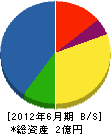 昭和サイン 貸借対照表 2012年6月期