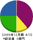 三栄工業 貸借対照表 2009年12月期