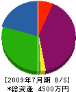岩田組 貸借対照表 2009年7月期