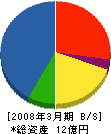 丸山産業 貸借対照表 2008年3月期