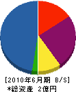 石山造園 貸借対照表 2010年6月期