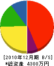 伊澤管工 貸借対照表 2010年12月期