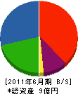 霞工業 貸借対照表 2011年6月期
