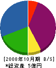 蒼鳳 貸借対照表 2008年10月期