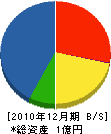 丸和玉井建設 貸借対照表 2010年12月期